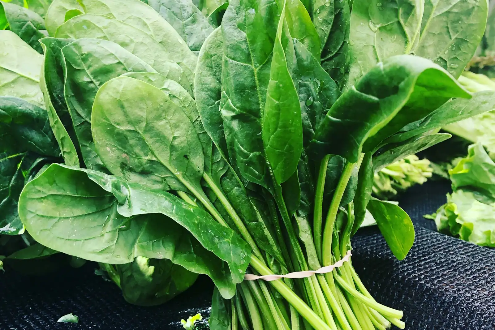 A bunch of fresh spinach